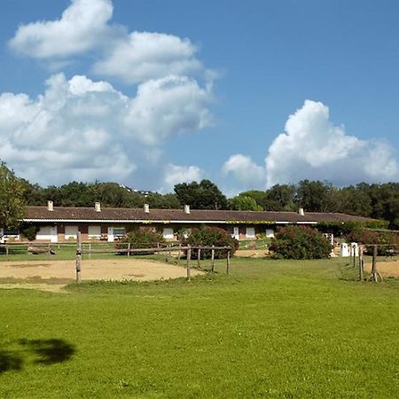 Residential Horse Club Costa Brava Hostel Santa Cristina d'Aro Room photo